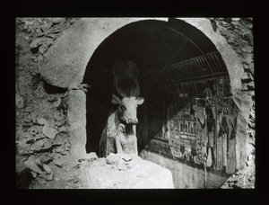 Hathor牛在18世纪的神殿，Deir El-Bahri（灯笼幻灯片） 作者 美国摄影师